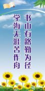 上海电气5芒果体育00强排名(上海电气集团世界500强排名)